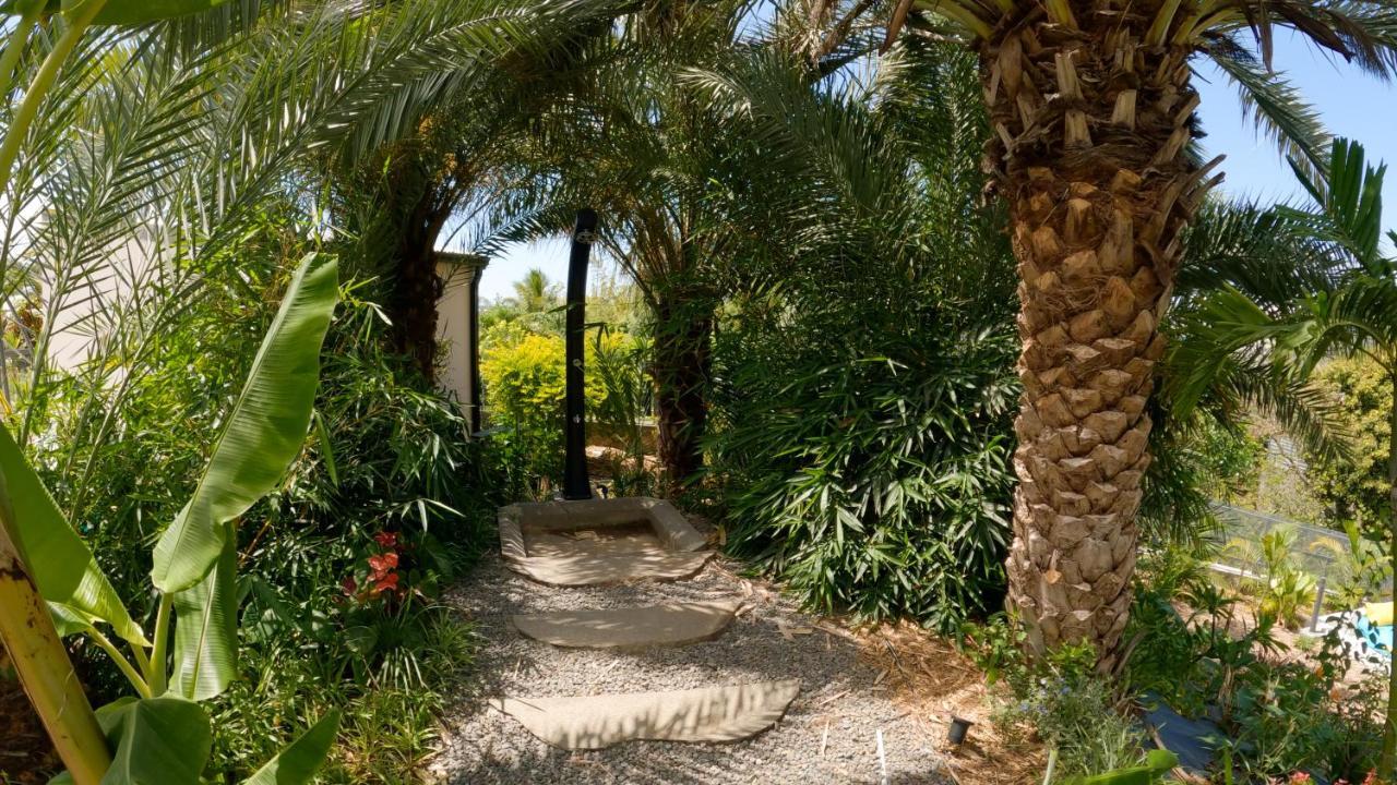 O Ruisseau Lodges - Lodge Dattier Saint-Louis Bagian luar foto